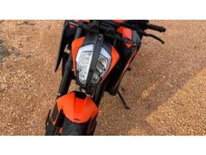 890 DUKE GP (2022 - 23)