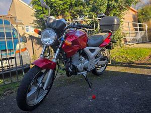 HONDA, CBF, 2004, 249 (CC)