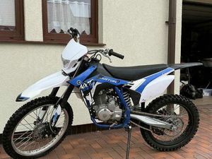 BARTON NXT CROSS BIALOGARD