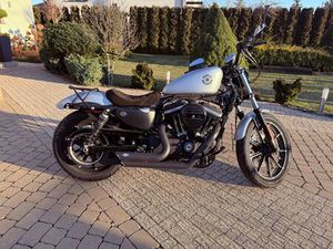 SPORTSTER 883 -SALON POLSKA KOTORYDZ