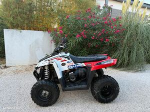 POLARIS 500 4*4