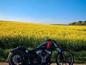 HARLEY-DAVIDSON BREAKOUT UMFANGREICHE VEREDELUNG