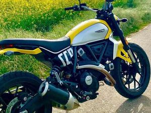DUCATI SCRAMBLER 800 ICON 2023 - TAUSCH GEGEN SCR 1100ER