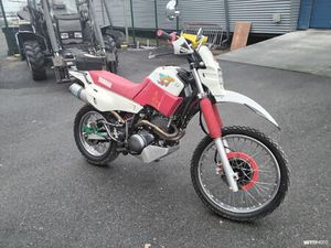 XT 600
