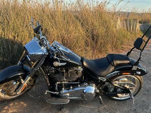 SUPERBE FATBOY 114 2024