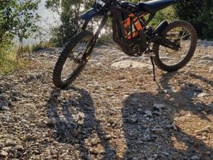 SUR-RON LIGHT BEE, 2024 GOD.