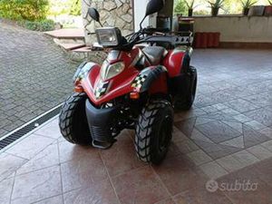 QUAD AEON COBRA 180