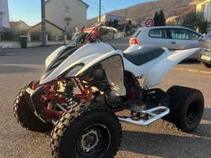 350 RAPTOR HOMOLOGUÉ