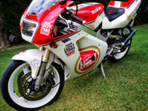 SUZUKI RGV 250 VJ22