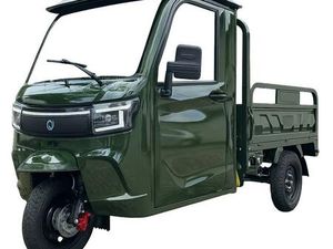 NELIO CARGO CLASSIC V2A BLEI 25 | 45KMH/2KW/58AH E-KABINENROLLER