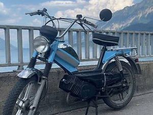 PONY GTX 503 BLAU CANTON BERNE -