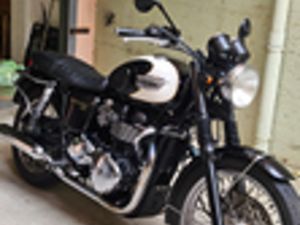 TRIUMPH BONNEVILLE T100