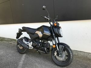 HONDA MSX 125 2025 125 CM3 | MOTO ROADSTER | 1 931 KM | NOIR | 29000 QUIMPER
