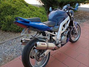 1000, SV SUZUKI