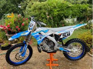 TM 250 MX