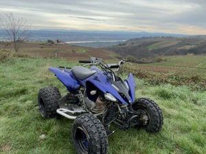 250 RAPTOR HOMOLOGUÉ