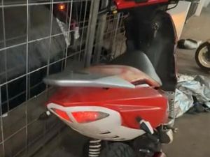 SPEEDFIGHT 2 WRC 307 LIMITIERTE VERSION