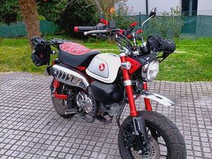 HONDA MONKEY ANO 2024 CERVÃES