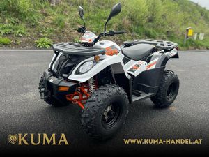 MOTO NEUVE: KAYO A 300