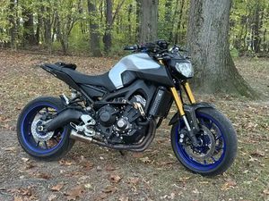 2015 FZ09