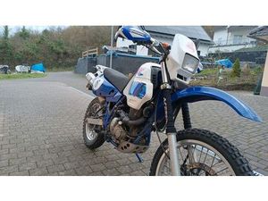 SUZUKI DR 650