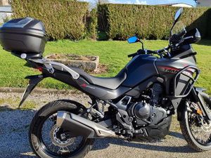 HONDA 750 TRANSALP 2024