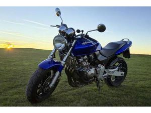 HONDA HORNET CB600F PC34 (WENIG KILOMETER)