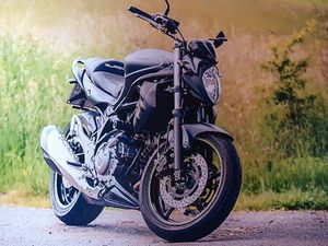 SUZUKI GLADIUS SFV650A