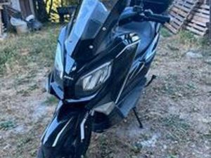 HURBA STREET RAPTOR - 2023