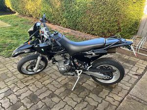 MUZ BAGHIRA BLACK PANTHER