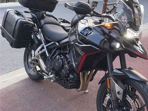 TRIUMPH TIGER 900 GT PRO