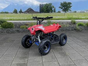 ⚠️MOTORISIERTER BOBBY CAR⚠️ POCKET, QUAD, GOKART, BIERKISTE