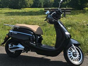 ELEKTRO ROLLER, E-ROLLER, 4,5 MON ALT, 1.HAND, 60KM,HERAUSN AKKU