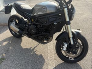 BENELLI LEONCINO 800