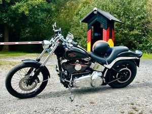 HARLEY DAVIDSON FXSTC