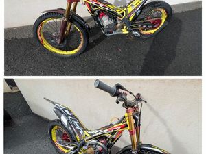 TRIAL TRS 250 GOLD