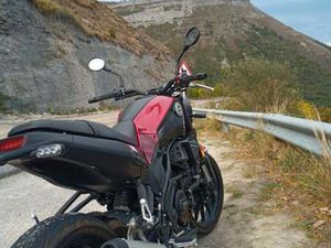 BENELLI - LEONCINO 250