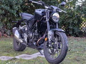 CB300R 2024