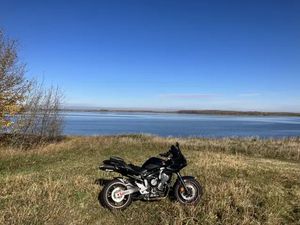 2006 YAMAHA FZ6