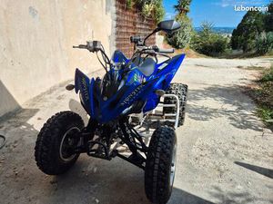 250 RAPTOR HOMOLOGUÉ