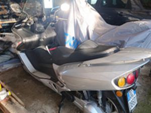 SCOOTER WT MOTORS MIAMI 250