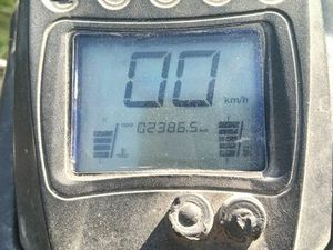 QUAD SHINERAY 250 ADOLFINÓW