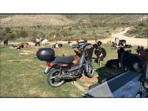DERBI VARIANT BOX GRAND PRIX, FRÜHE SERIE | SPANIEN-IMPORT | OG
