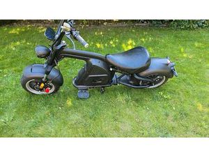 E-CHOPPER MAGOSTEEN M8