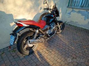 MOTO GUZZI BREVA 750 - 2009