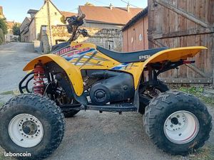 QUAD 250 TRAIL BLAZER