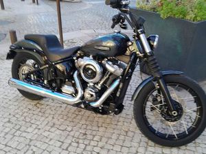 HARLEY STREET BOB 117