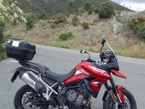 TRIUMPH TIGER 900 GT