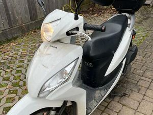 ROLLER HONDA VISION 50 CCM