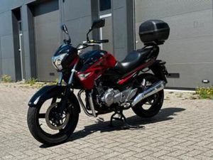 2015 SUZUKI INAZUMA GW 250 — MOTOREN | SUZUKI — MARKTPLAATS